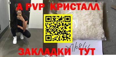 стаф Заводоуковск