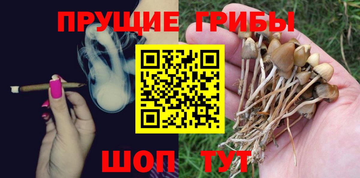 Псилоцибиновые грибы Psilocybine cubensis  Вход с VPN  Псилоцибиновые грибы Psilocybe  Краснокаменск 
