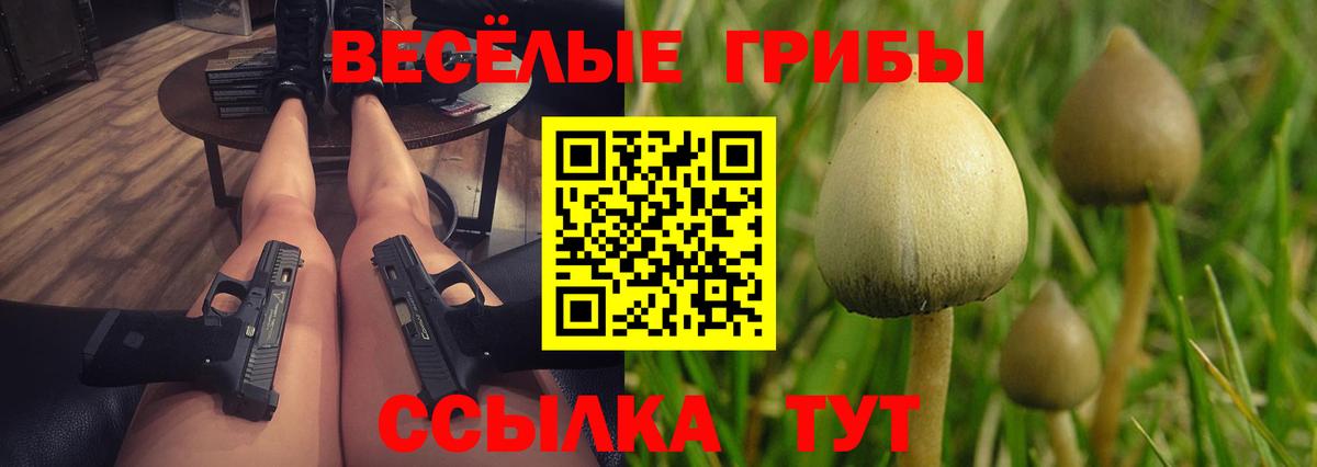 Галлюциногенные грибы мухоморы Краснокаменск